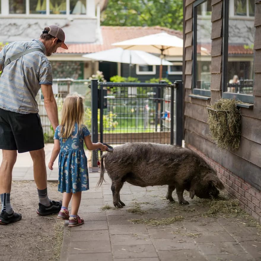 Kinderboerderij De Pijp father and kid standing with a pig