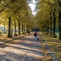People and a dog in the Erasmuspark on a sunny autumn day.