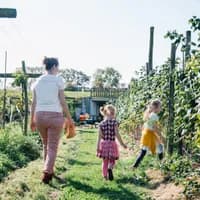 Family and kids picking fruit at Fruittuin van West