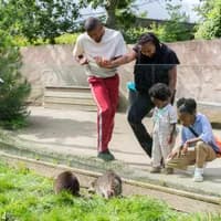 Family exploring at Almere Jungle