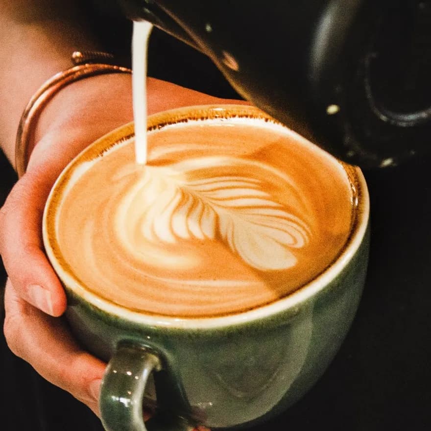 Dignita barista pouring a cup of coffee