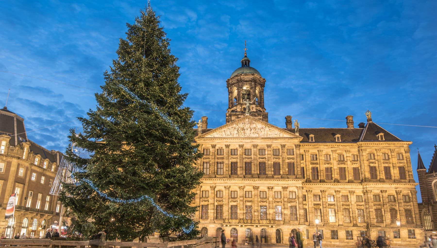 Kerstboom op de Dam