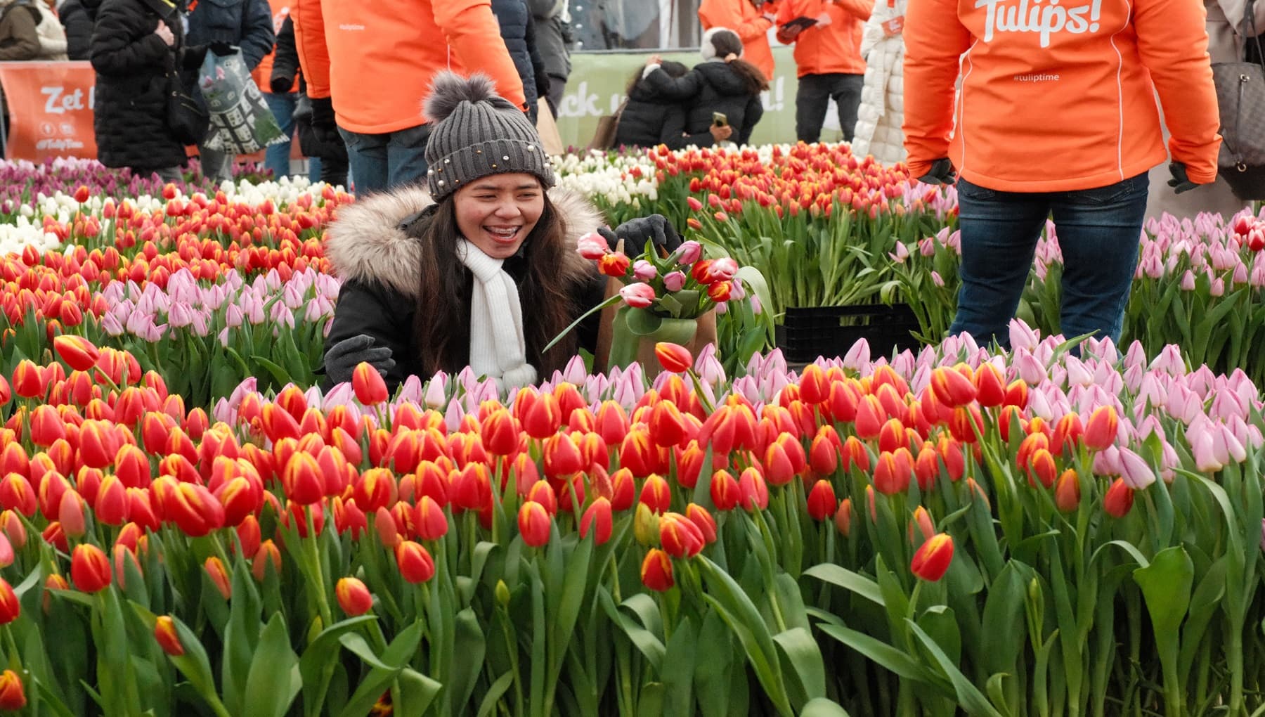 National Tulip Day