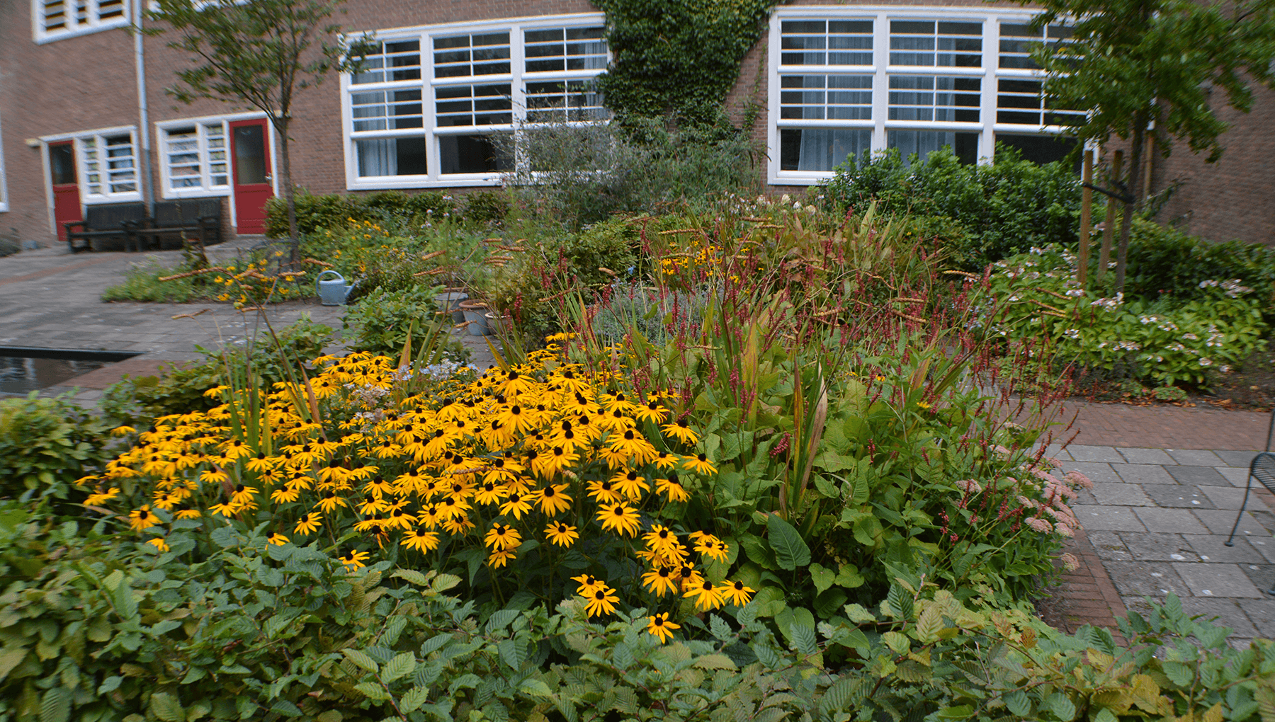 Livemuziek in de paradijselijke Tuin van Jan