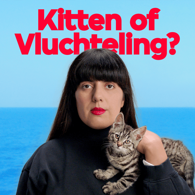 Tina Farifteh - Kitten of Vluchteling?