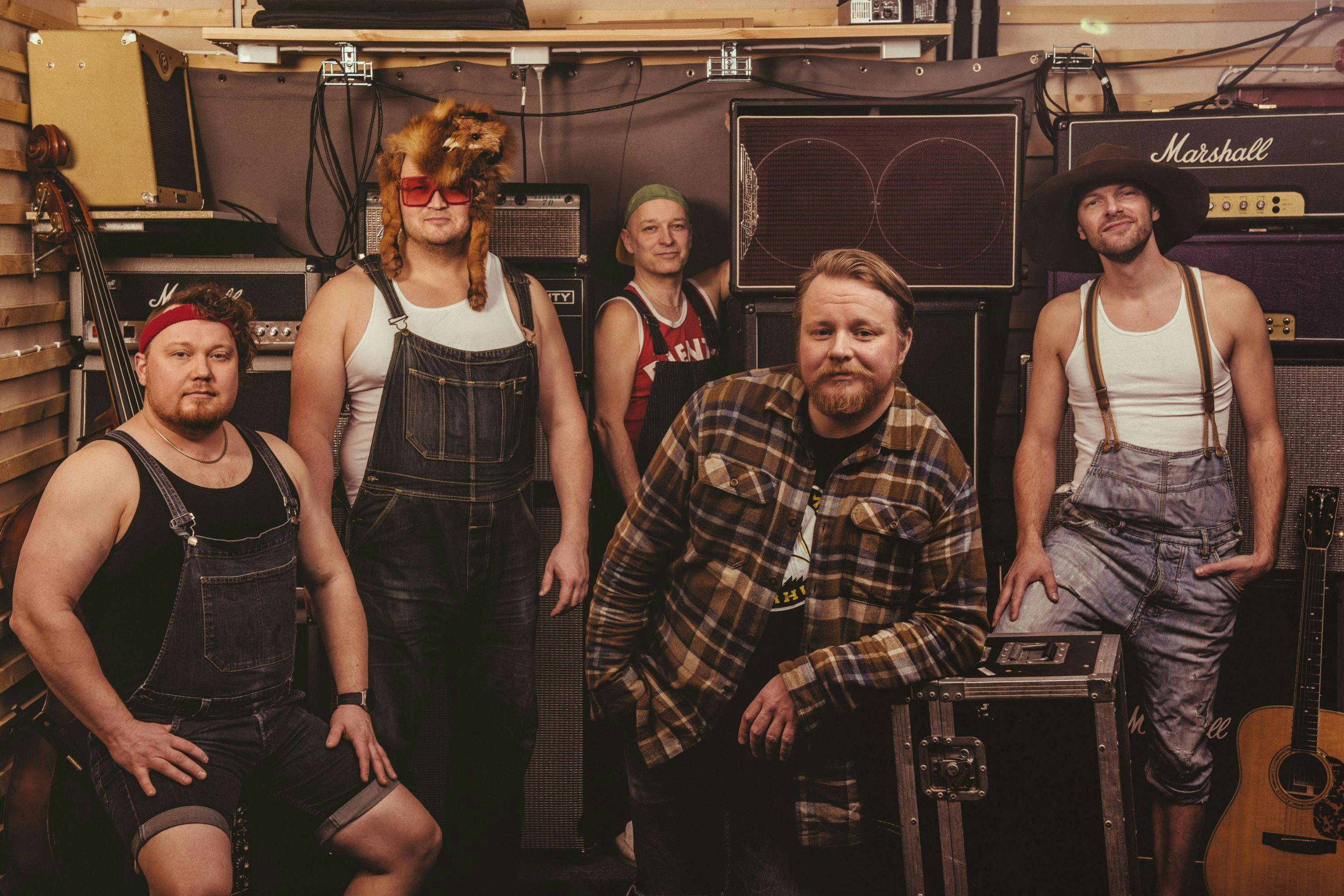 Steve'n'Seagulls