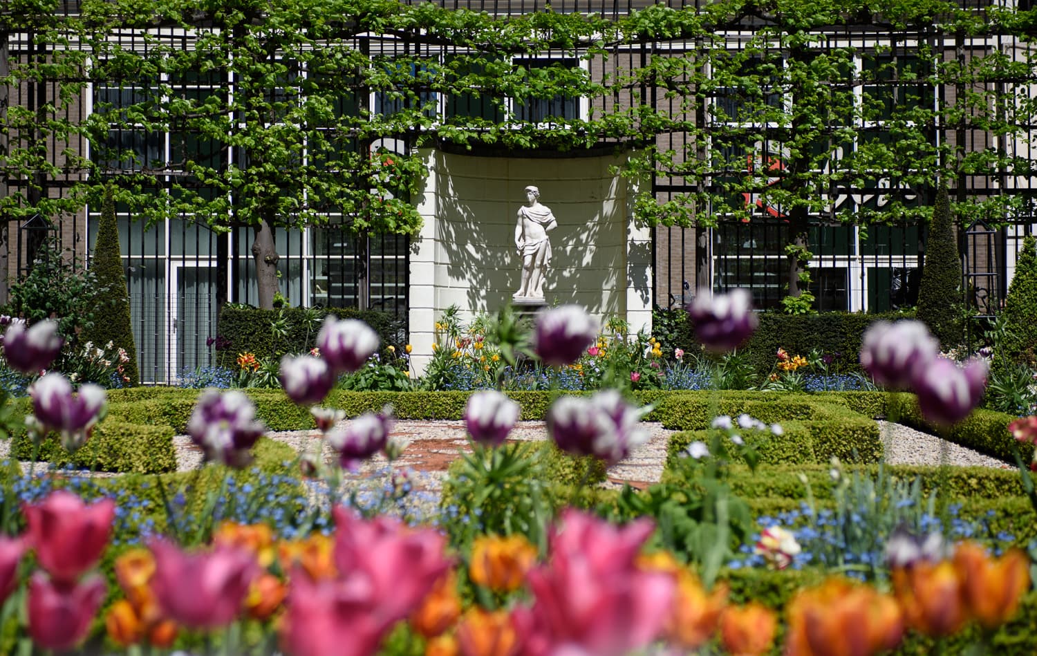 Tulpentour: Vier de bloei van de tulp