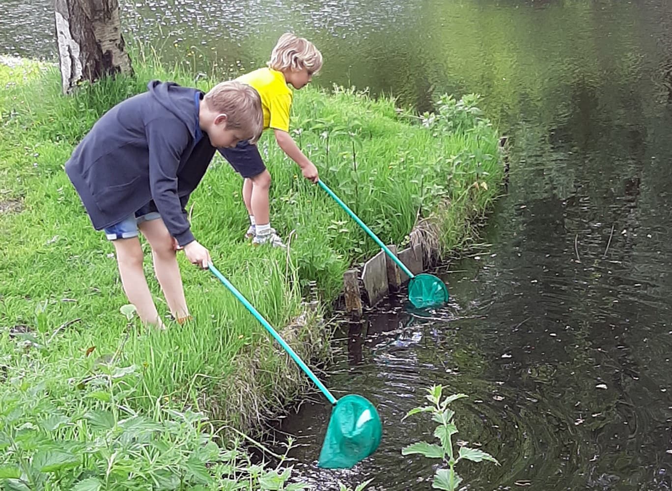 Biobende Jubileum voor kinderen (6+)