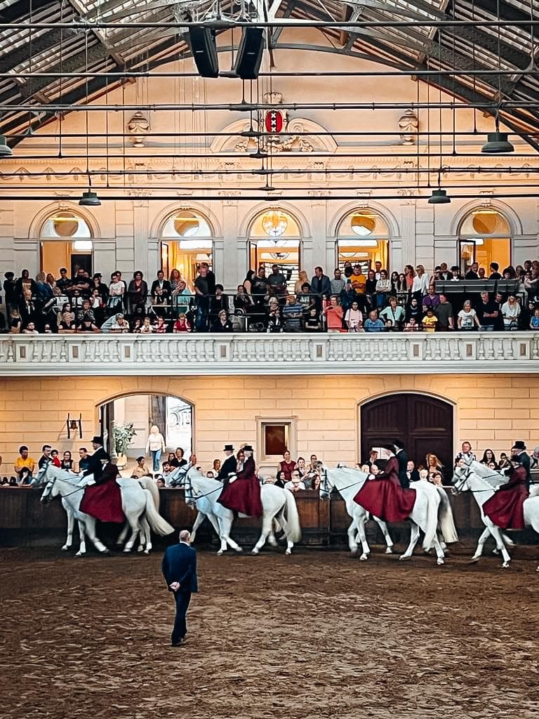 Demonstratie Carrousel