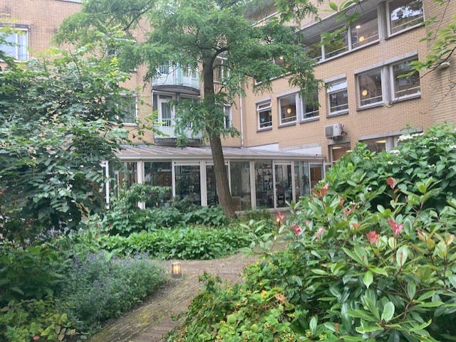 Garden quiz in the special courtyard garden of De Kastanjehof