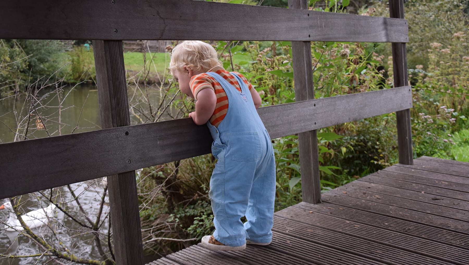 Kleuterprogramma op Jeugdland (2-5 jaar)