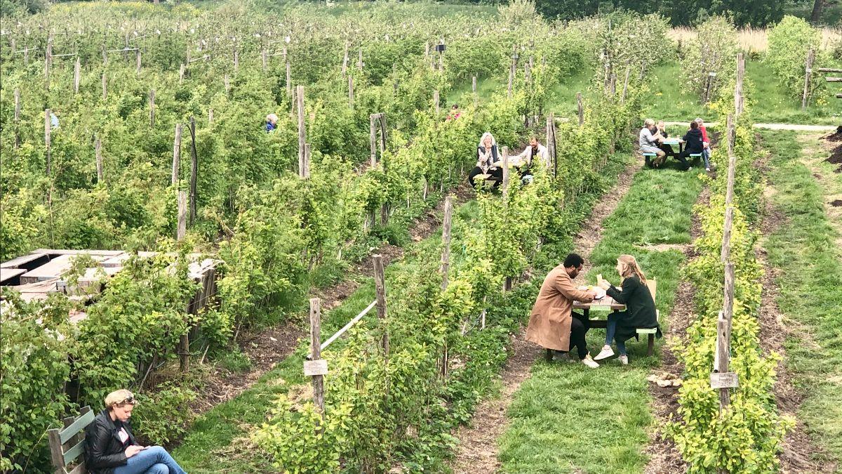 Tour of the Fruit Gardens of West