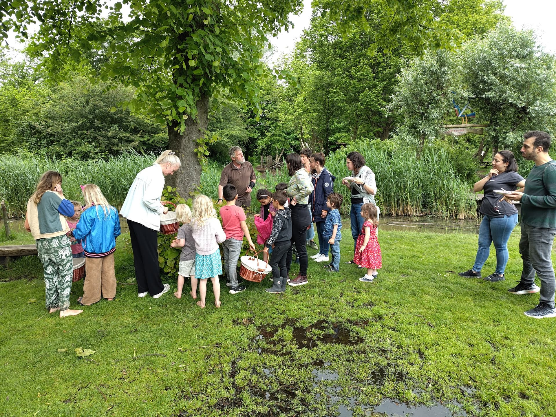 Wildplukwandelingen bij De Natuurkamer (8+)