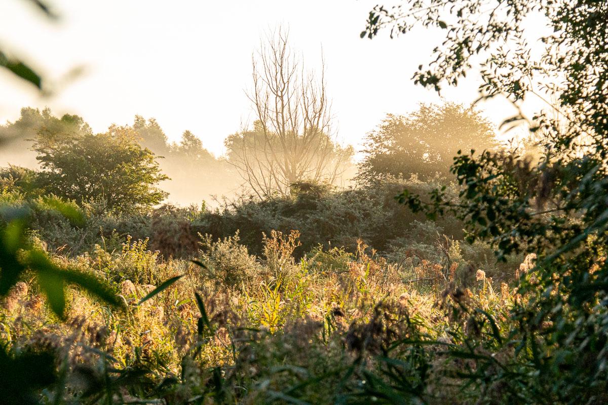 De zonsopkomst zien in natuurgebied De Bretten