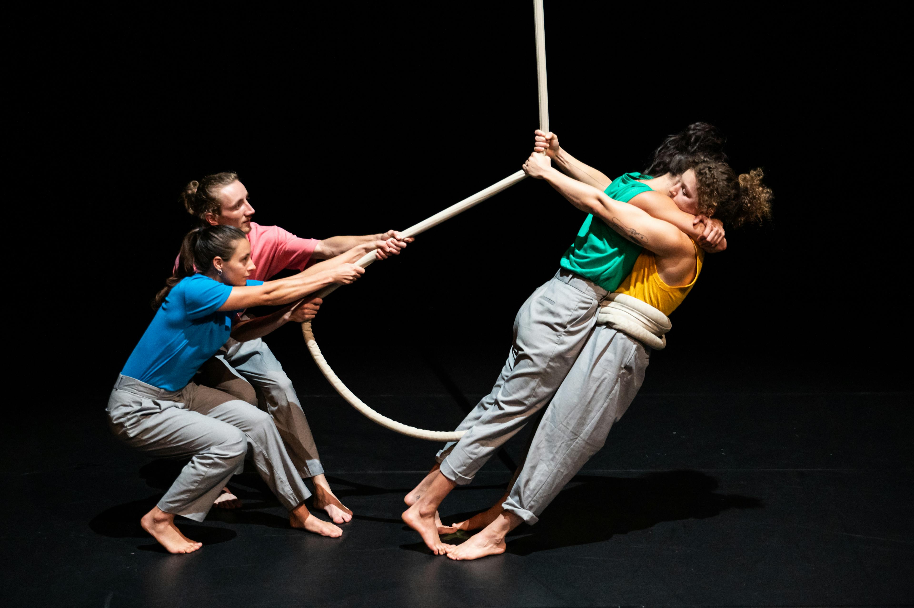 Fringe Festival - Framing Effect - Systema