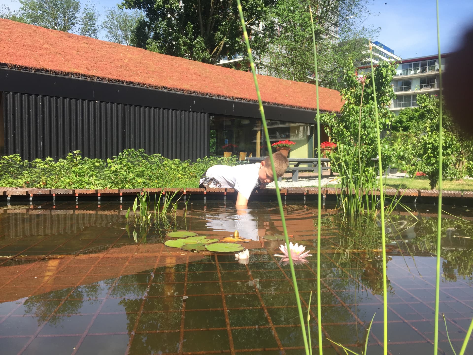 Klimaatbingo in de groene oase van de Stadsboerderij