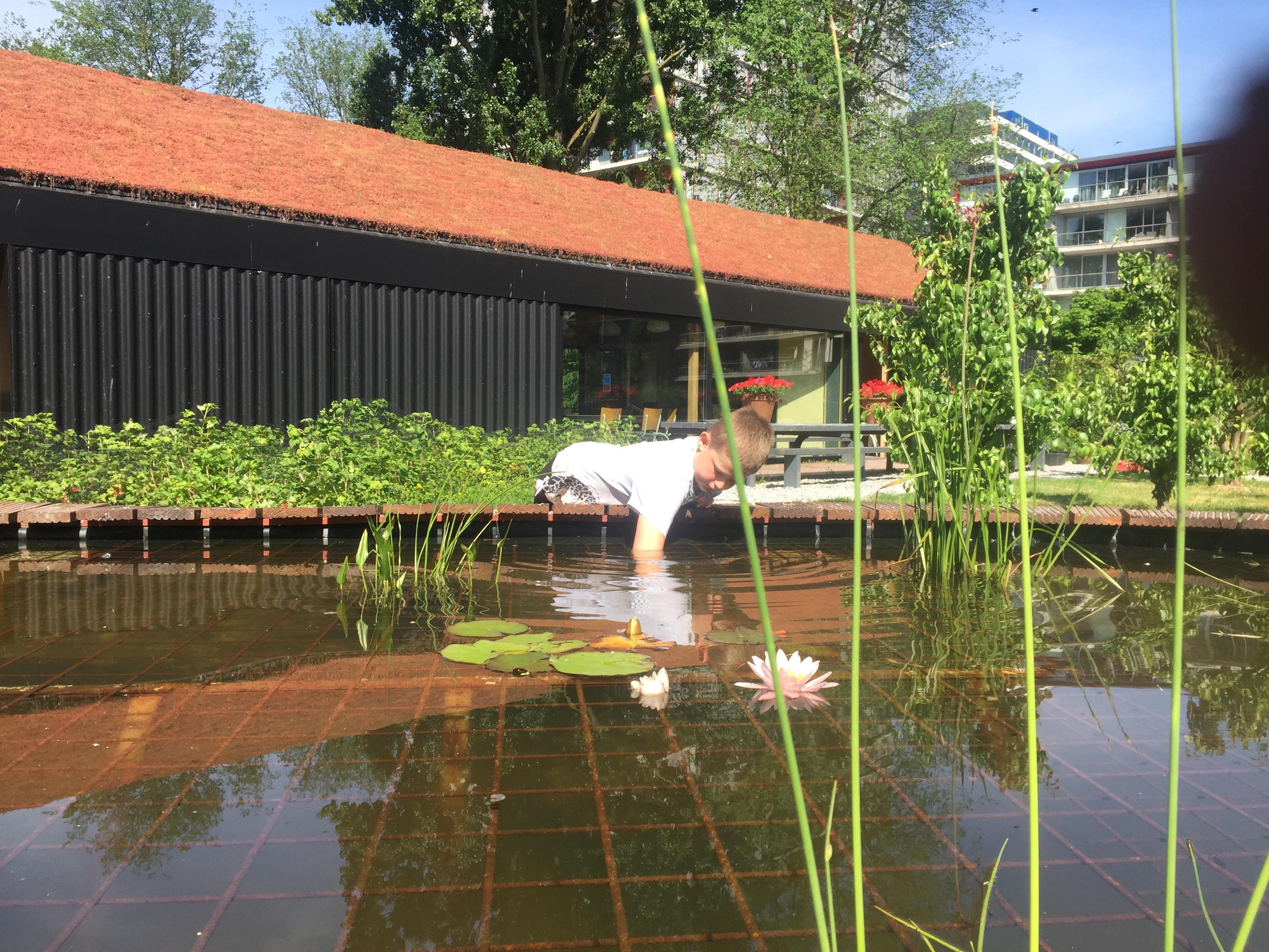 Klimaatbingo in de groene oase van de Stadsboerderij