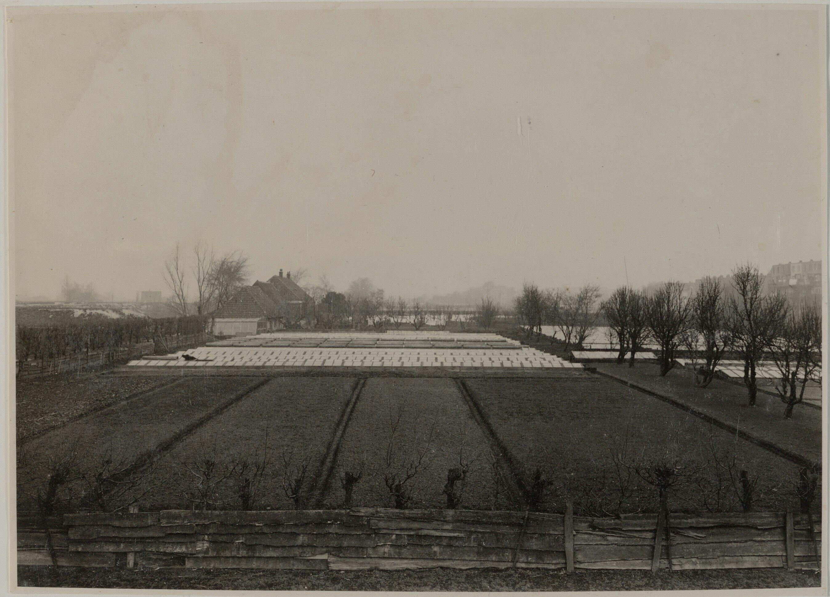 Van platteland naar stad