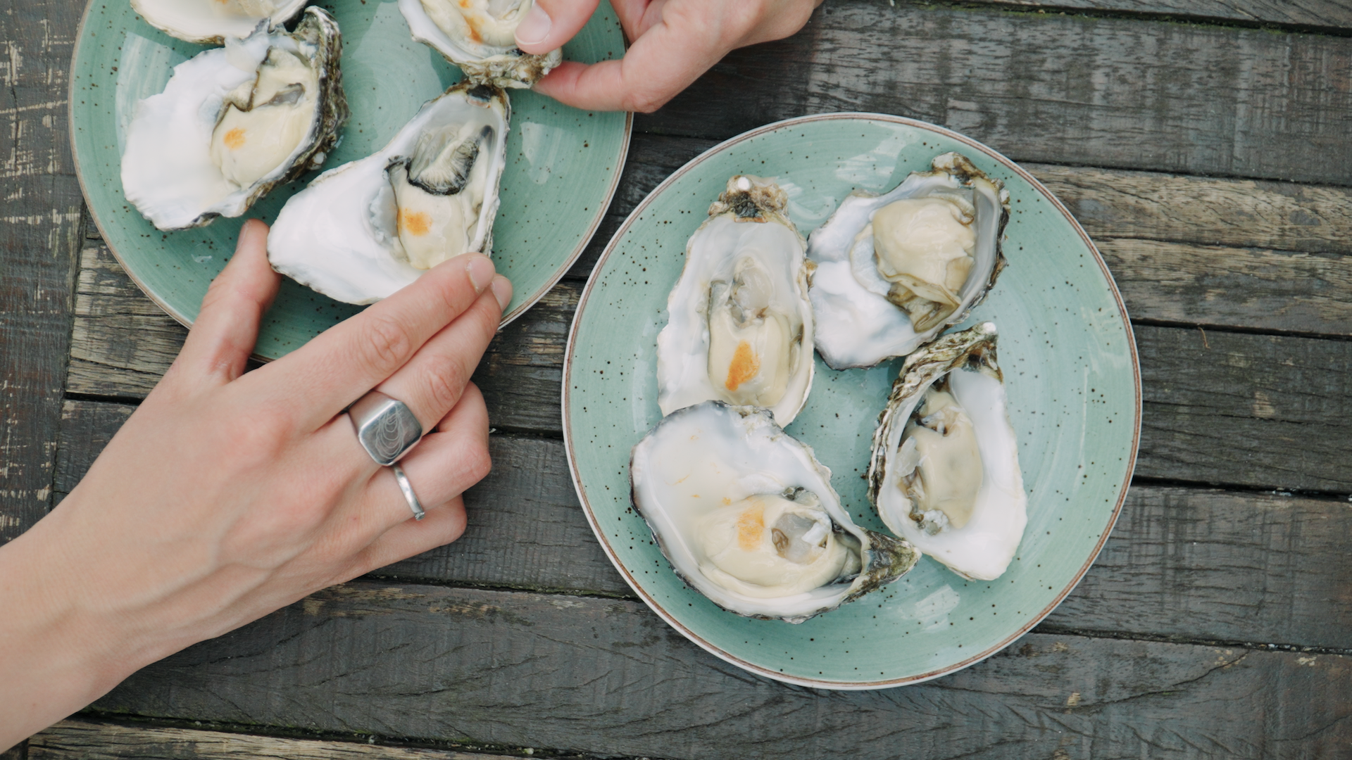 Oyster Festival Amsterdam