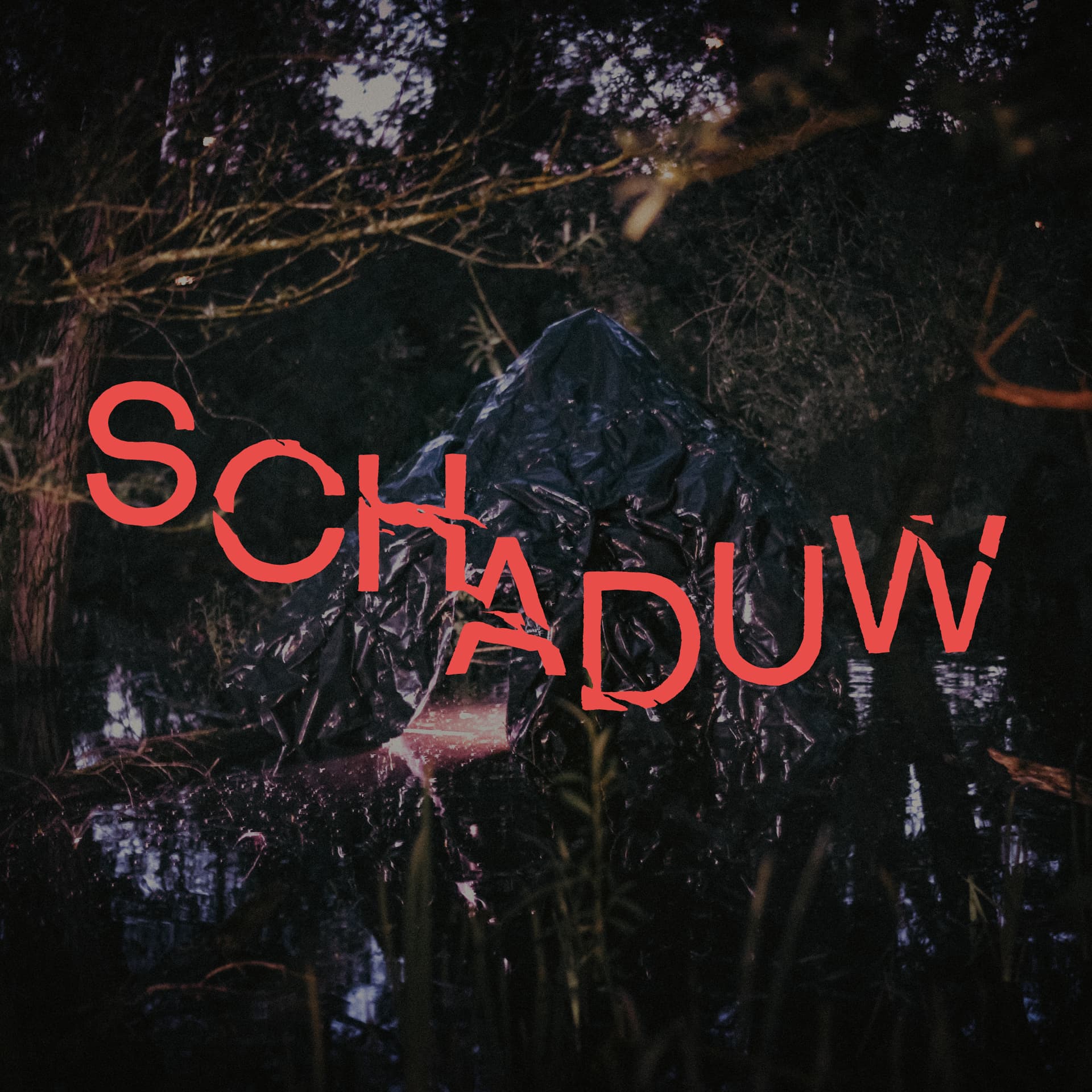 SCHADUW