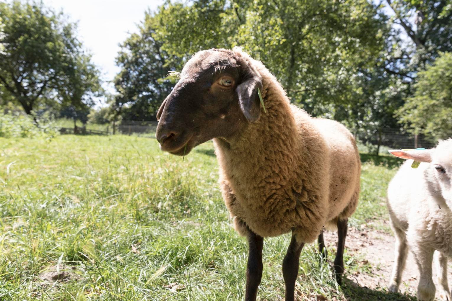 Herfstfeest bij het Vroege Vogelbos