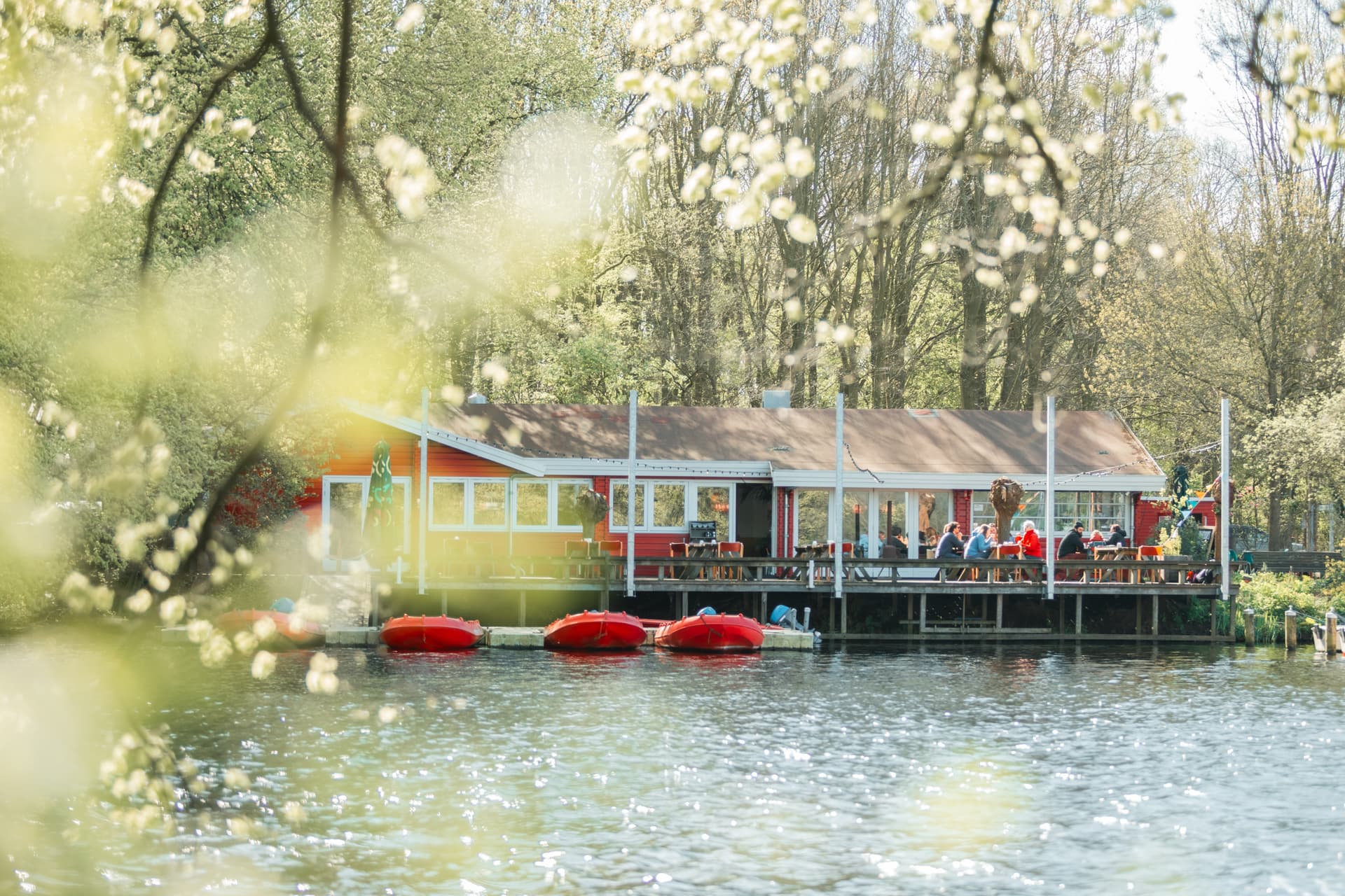 Phono Lake: dansen aan de oever van de Sloterplas