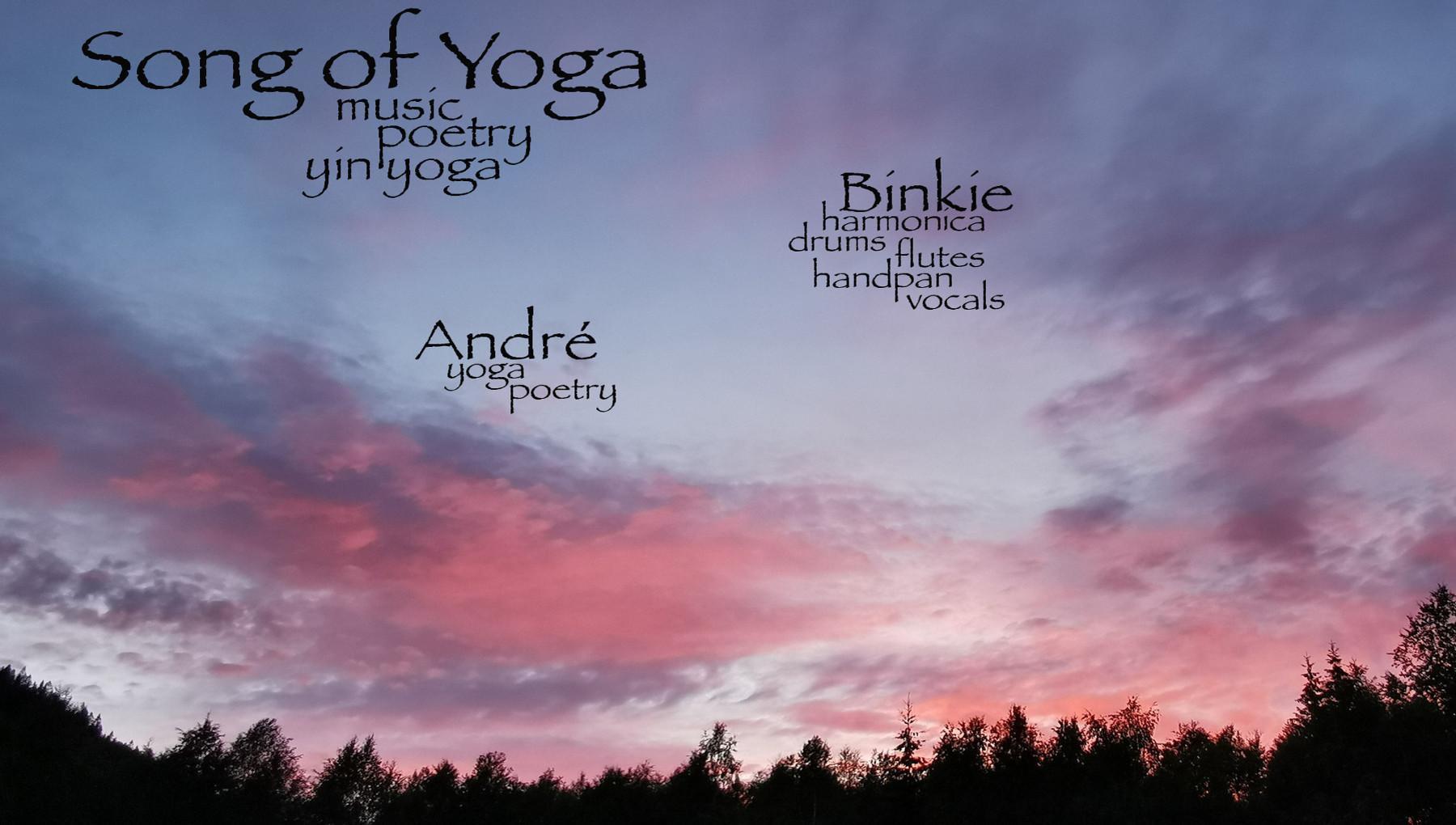 Yogaconcert | live music, poetry & yin yoga with Binkie