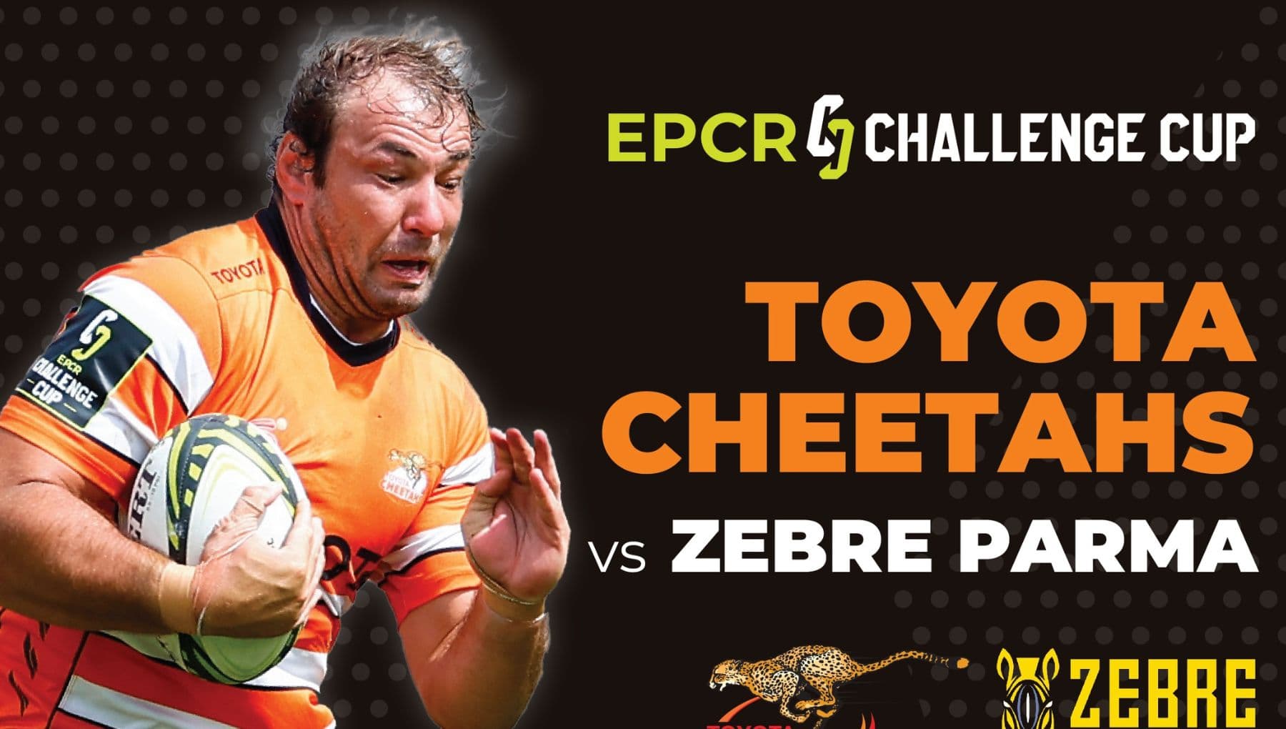 EPCR Challenge Cup: Toyota Cheetahs vs Zebre Parma