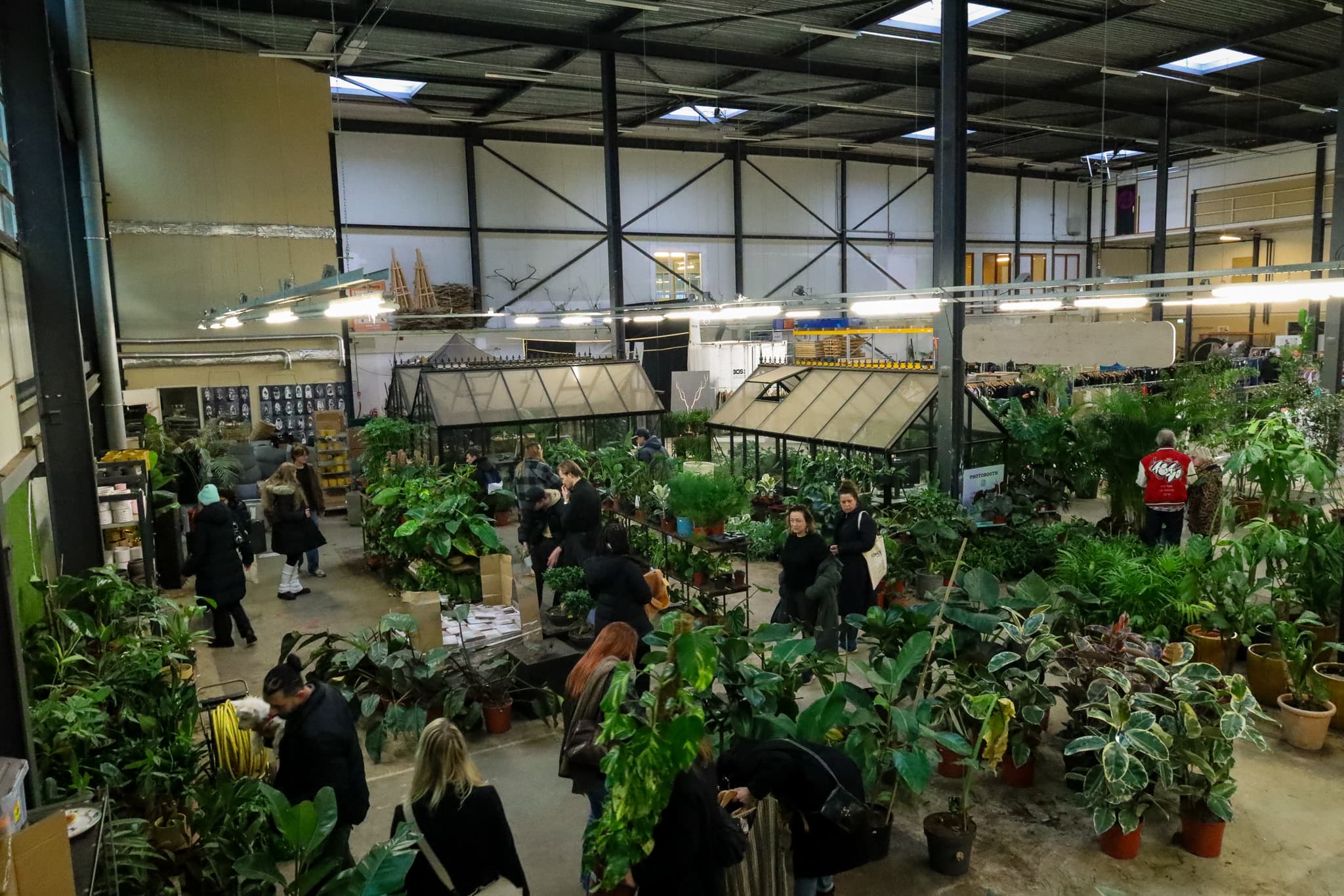 De Loods - planten en vintage sale