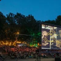 Amsterdamse Bos Theater audience watching a movie on a large screen organised by Cinetree