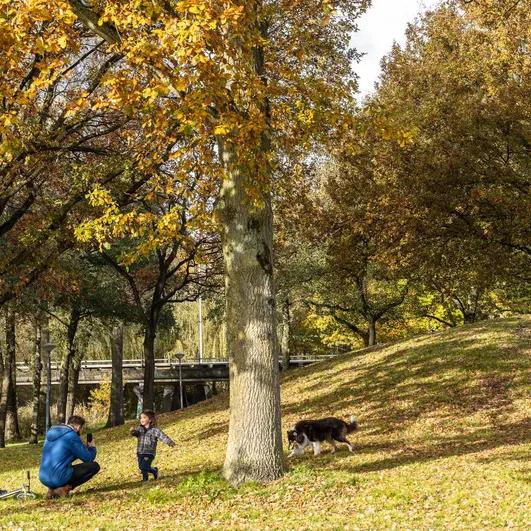 A father with his child and a dog in the Nelson Mandelpark.