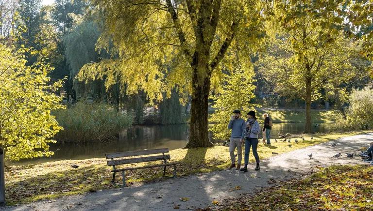 A couple is walking through the Sarphatipark on a sunny autumn day.