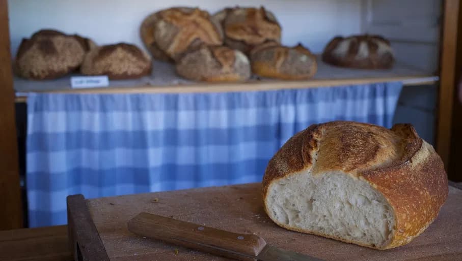 Stadsbakkerij As fresh bread