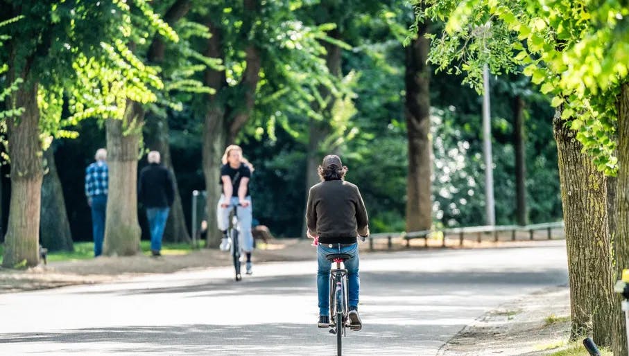 Cyclist in Vondelpark