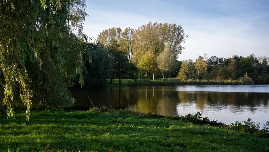 View over the Schellingwouderbreek. 
Content Creation Day in Amsterdam Noord, North