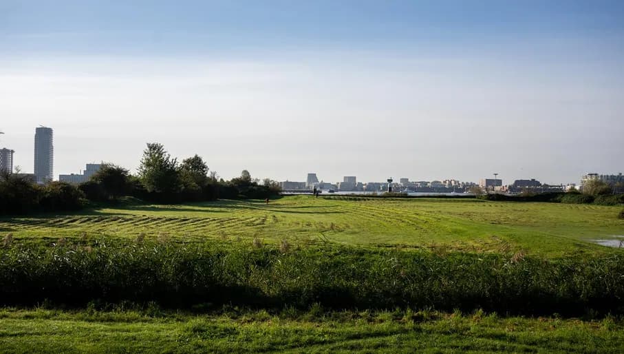 Schellingwouderpark overlooking the IJ. Content Creation Day in Amsterdam Noord, North