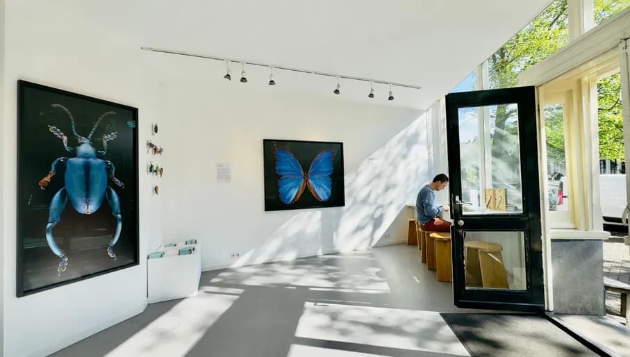 Cloud Gallery interior