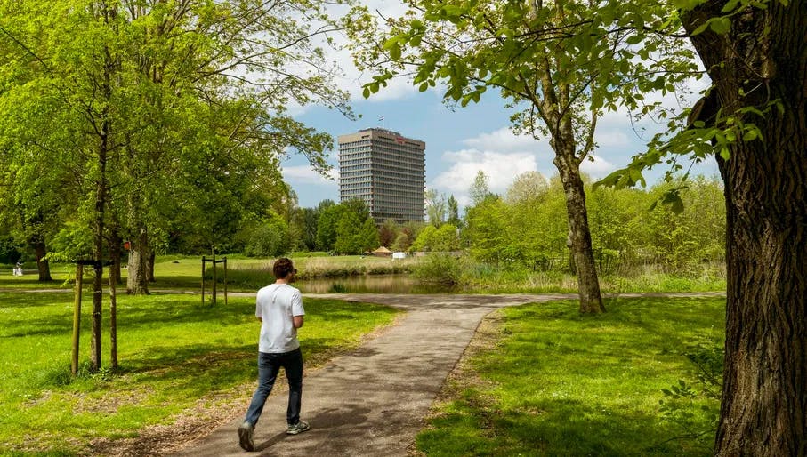 A person walks through Rembrandtpark.