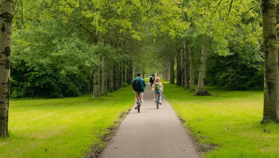 Cycling in Haarlemmermeer