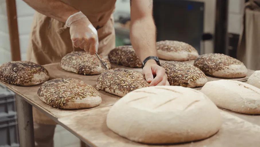 Ulmus bakery fresh bread