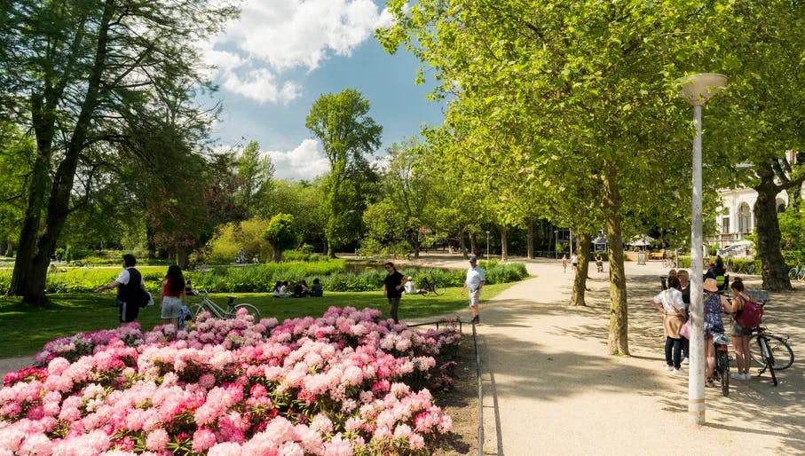 Blossoming Vondelpark