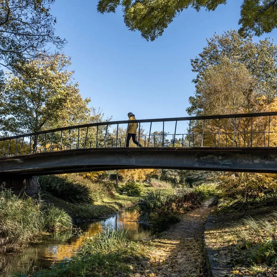 Walking over a bridge in Westerpark