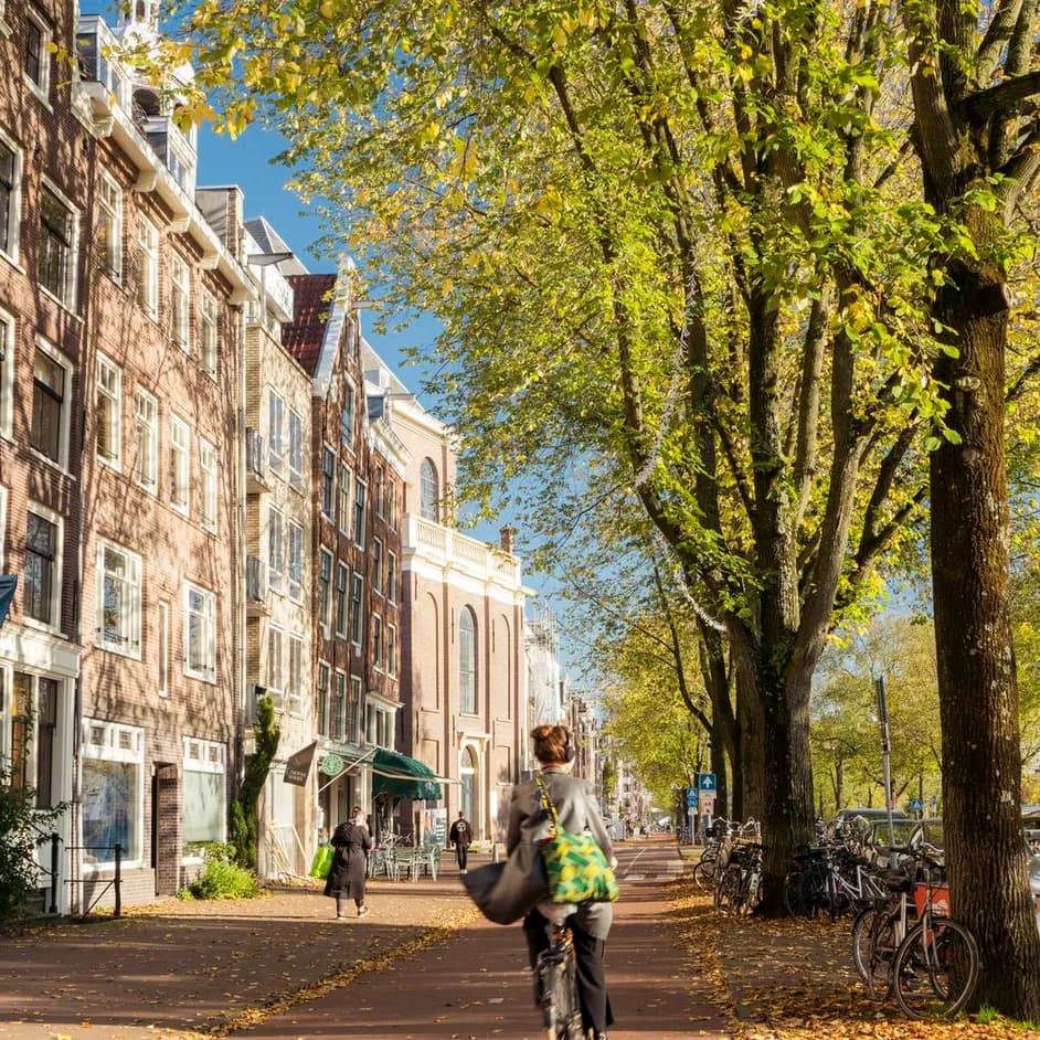 A  cyclist cycles on the biking lane of a sunny Wittenburgergracht.