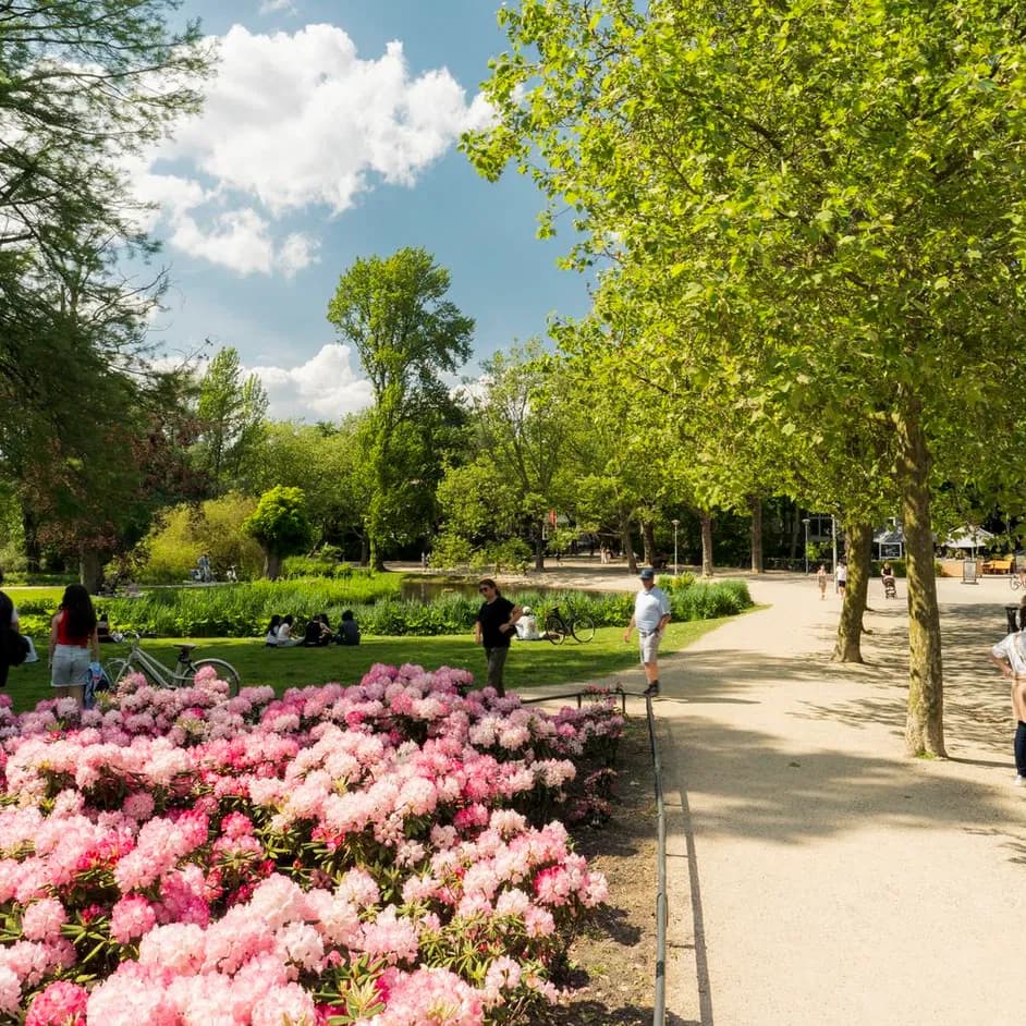 Blossoming Vondelpark