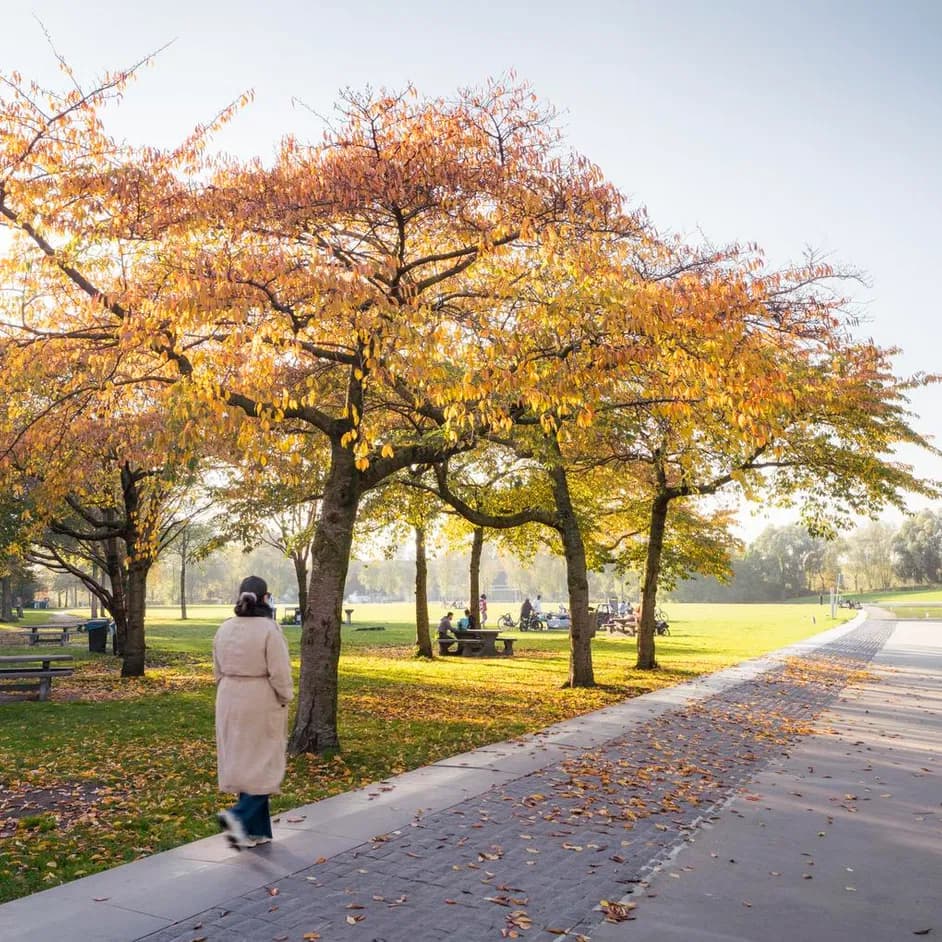 A person taking a walk in a sunny Westerpark