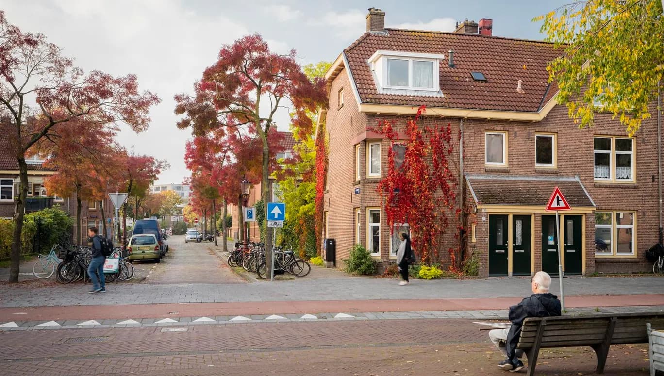 A person sits on a bench in the Van der Pek neigbourhood.