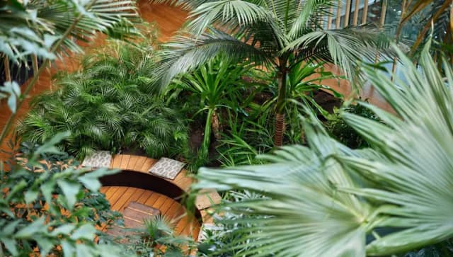 Hotel Jakarta indoor garden