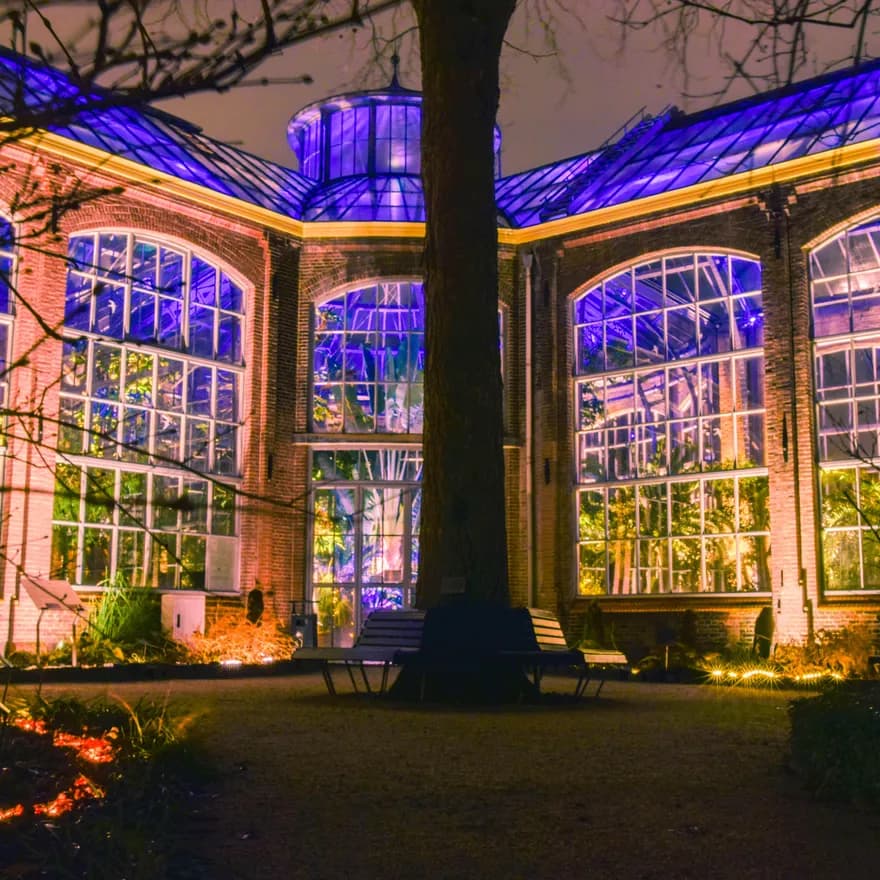 Hortus by Night botanical gardens
