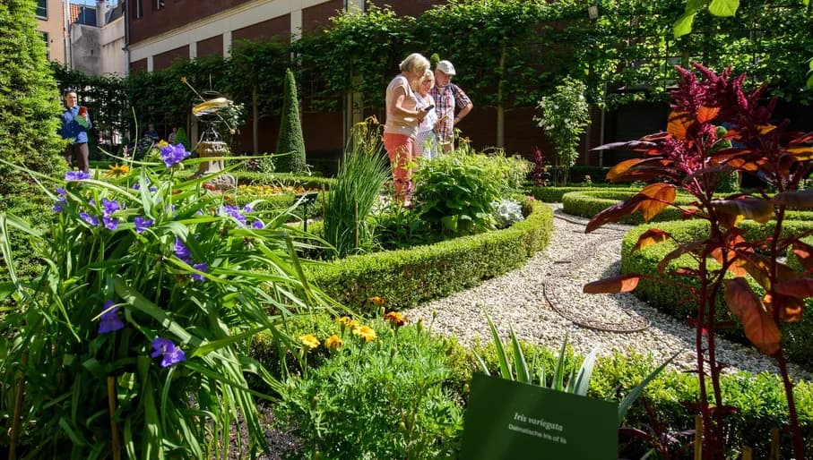 Open tuindagen 2023, Huis Willet Holthuysen