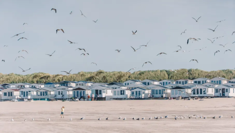 Beach houses at IJmuiden beach